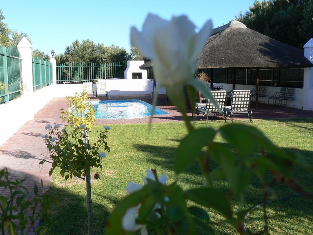 Olive Grove Guest Farm Villa Beaufort West Room photo